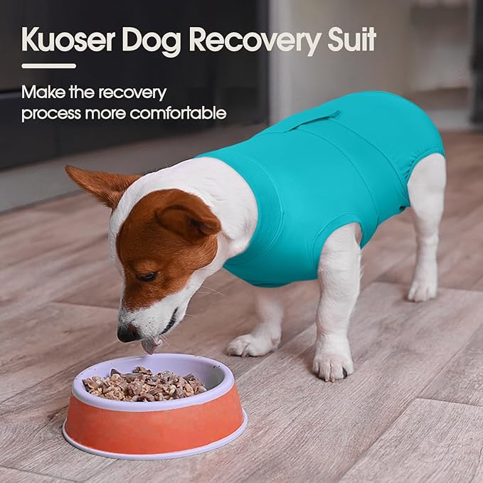 Kuoser Dog Recovery Suit for Dogs After Surgery, Soft Surgical Onesie for Female Male Dogs Spay Neuter, Anti-Licking Pet Bodysuit for Abdominal Wounds, Skin Disease, E-Collar Alternative, Lakeblue XS