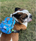 PawLook Dog Backpack to Wear with Chest Harness Self Carrier dogbag with Additional Pocket for Poop Bag Anti Slip Stylish Dog Bag for Your pet Street Smart Serie Pawsup Cute Small