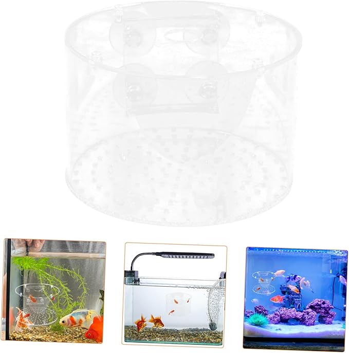 POPETPOP Fish Breeding Box Isolation Tank for Fish Hatching Easy to Clean Aquarium Divider for Safe Breeding Enhanced Survival Rate Transparent