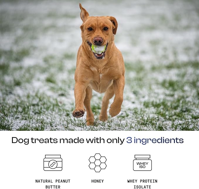 MDRNpup® Unique Dog Treats, Human Grade and All-Natural, Only Three Ingredients, High Protein - Amino Acids, Nothing Artificial, Soft Baked in The USA (13.2 Ounce, Whey Isolate Protein)