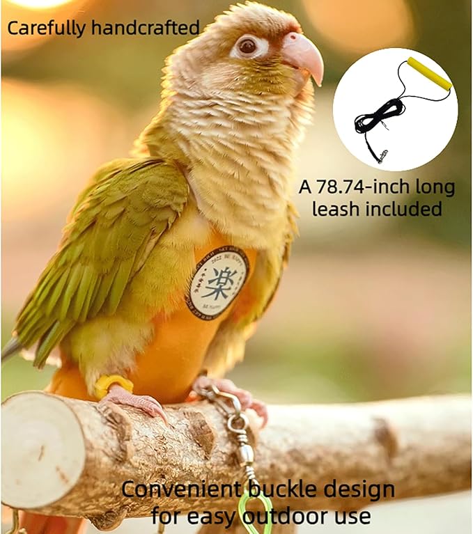 MANON ROSA Bird Diapers Leash Set Washable Reusable Handmade Flight Suit Waterproof Inner Layer - Protective Parrot Nappy Clothes Parakeets Macaws Budgies Canaries (Red7,Rainbow Lorikeet)