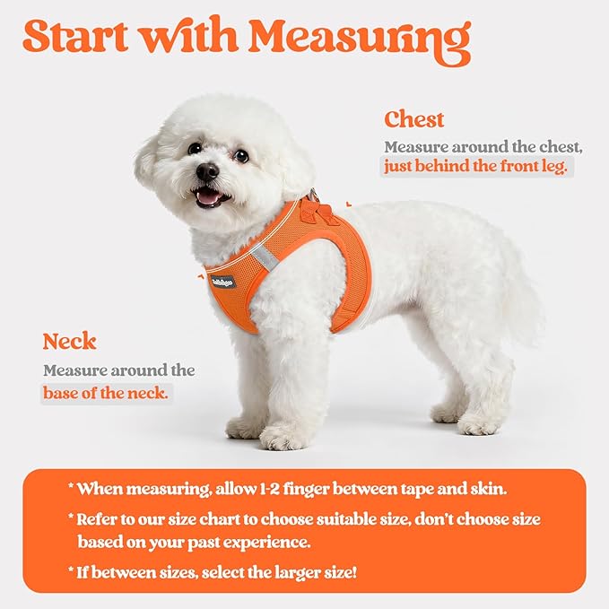 rabbitgoo Dog Harness Small Sized and Leash Set, Step in Soft Light Puppy Vest, Breathable Mesh Pet Harness, Reflective for Safe Easy Walking, Orange S