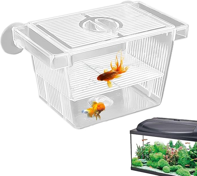 Fish Breeding Box - 20.5*9.5*9.9cm Acrylic Hatchery Incubator Tank Fish Tank Divider | Fishes Tanks Incubator Breeding Box | Aquarium Breeder BoxFish Acclimation Boxes Nursery For Injured Hatchery Inc