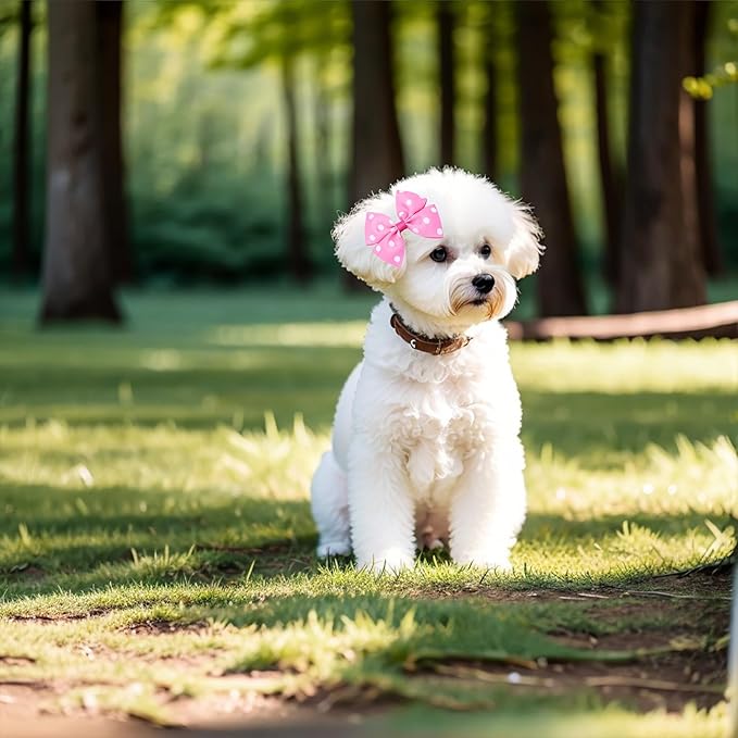 24PCS Big Dog Hair Bows with Rubber Band Random Pattern for Large XL Breed Bowknot Topknot Grooming Hair Accessories