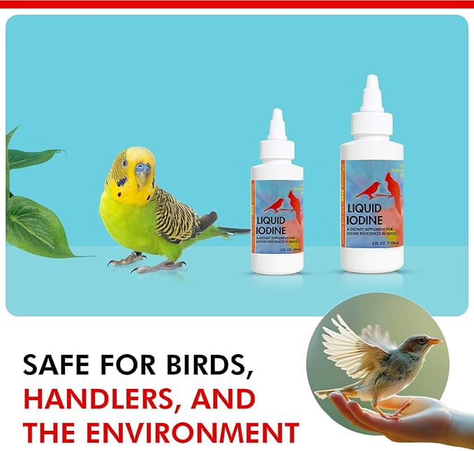 Morning Bird Liquid Iodine for Birds 4 fl oz – Iodine Mineral Supplement – Supports Feather Growth, Molting, Energy & Healthy Thyroid Function – Easy-to-Use Drops