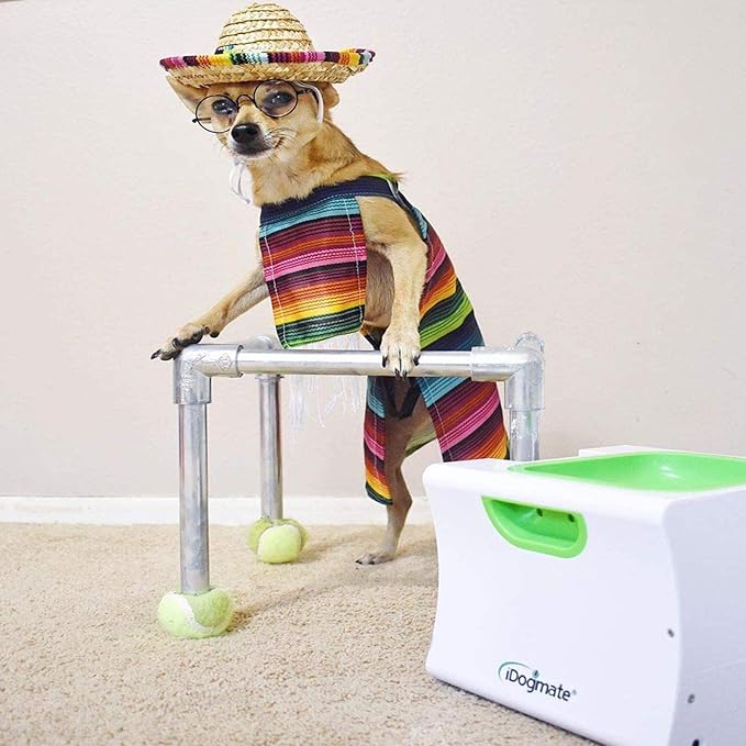 Ball Launcher for Dogs, Automatic Dog Ball Thrower for Mini Dog with Rechargeable (Small Ball Thrower for Dogs with 3 Balls)