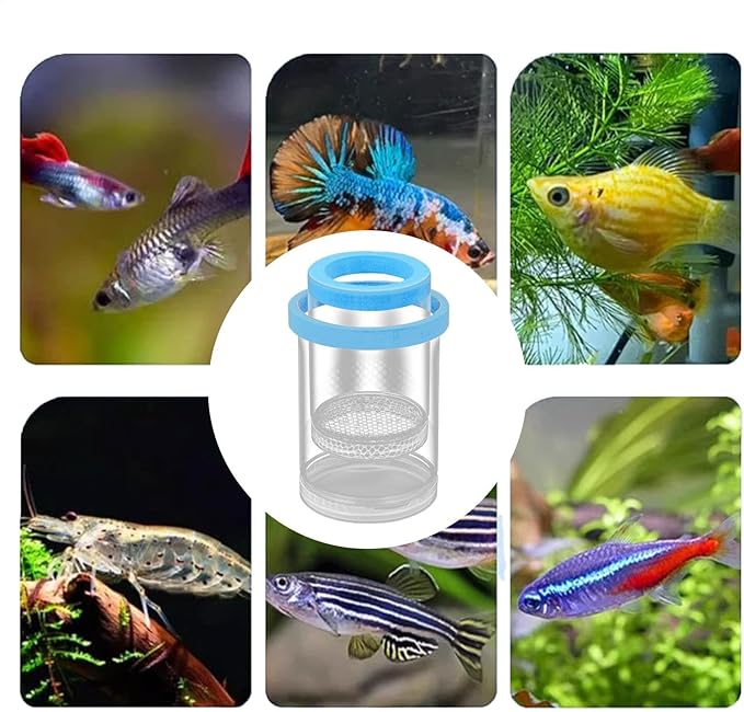 Floating Fish Isolation Box for Fish Tank, Floating Aquarium Breeder Hatching Box Clear Egg Isolation Net Incubation Boxes for Clownfishes Betta Guppy