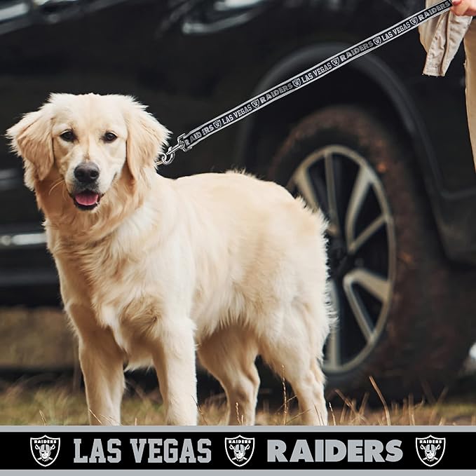 NFL PET Leash Las Vegas Raiders Dog Leash, Large Football Team Leash for Dogs & Cats. A Shiny & Colorful Cat Leash & Dog Leash Licensed by The NFL