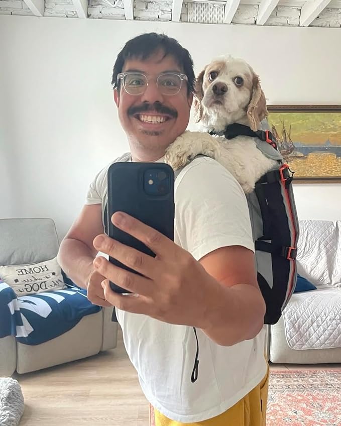 Maxine One Dog Backpack Carrier for Medium Dogs by Little Chonk | Adjustable & Ergonomic Front Facing Dog Carrier Backpack | Bult to be Safer | Pet Backpack Carrier, Featured in Wired Magazine - Gray