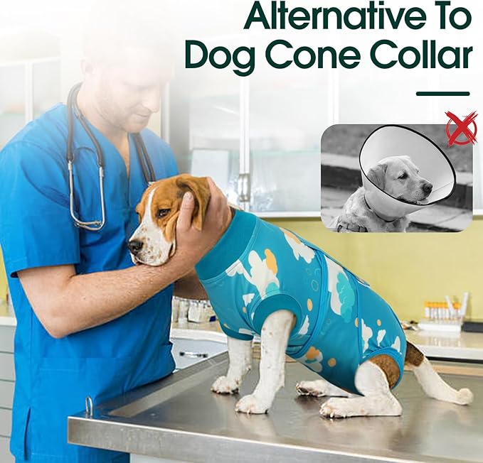 Kuoser Recovery Suit for Dogs After Surgery, Dog Surgical Recovery Suit Female Male Spay Neuter, Anti-Licking Dog Onesie for Abdominal Wounds Skin Disease, Pet Surgery Bodysuit Cone Alternative, XS