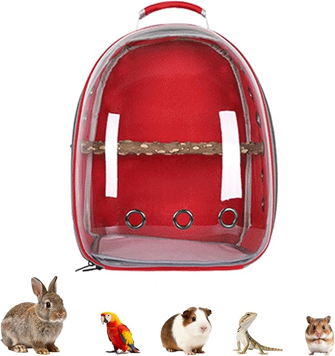 Transparent Parrot Backpack,12 Holes Ventilate Space Capsule Carrier,Stick Wooden Standing Perch,Portable Double Shoulder Outdoor Pet Backpack Carrier for Birds and Pets (Red,with Stick)