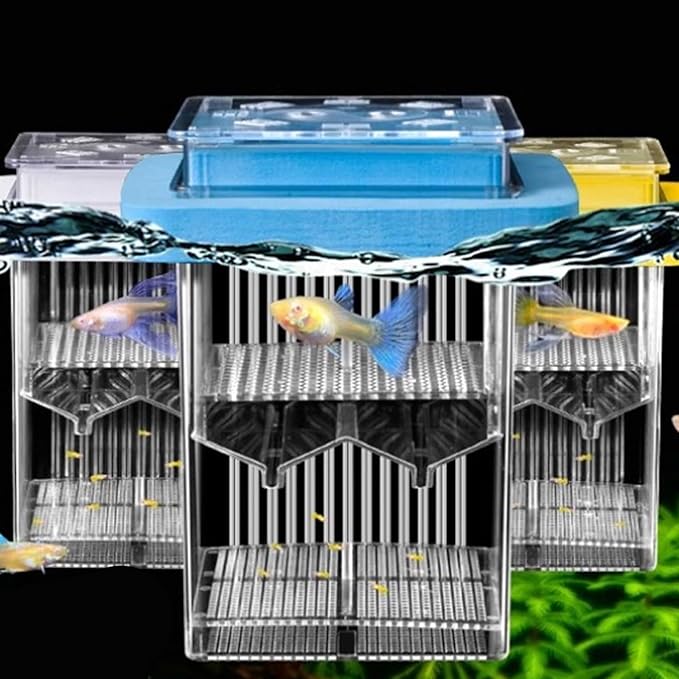 Aquarium Clear Breeding Box Double-Layer Hatchery Incubator for Fish Fry Shrimp Isolation & Spawning Adjustable Partition Fish Breeding Tanks