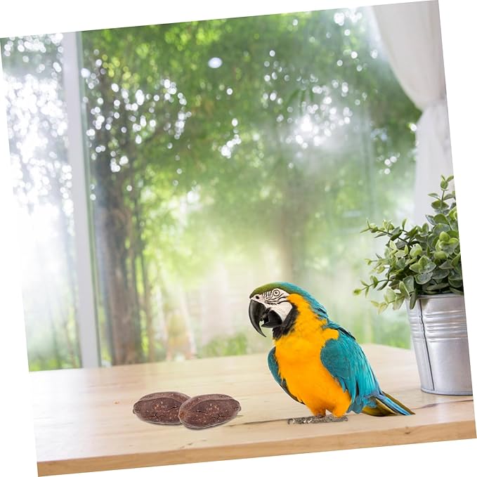 8pcs Dried Fruit Bird Toys for Parrots Foraging Chewing Toys for Birds Parrot Accessories Natural Shredding Treats