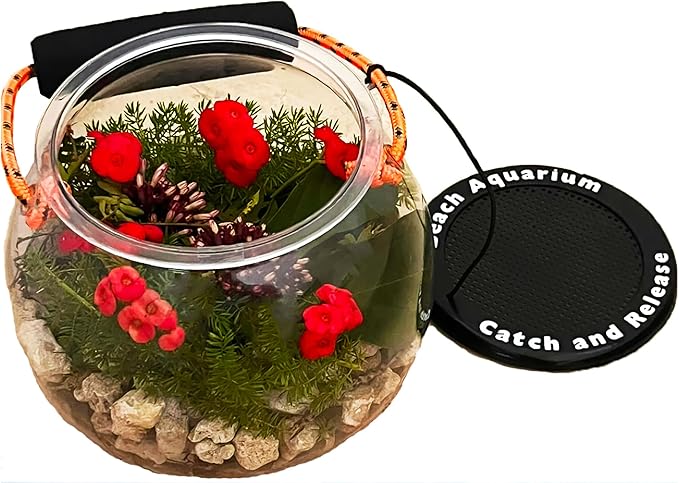 Dry Branch Sports Design Catch and Release Beach Aquarium Kit , Clear