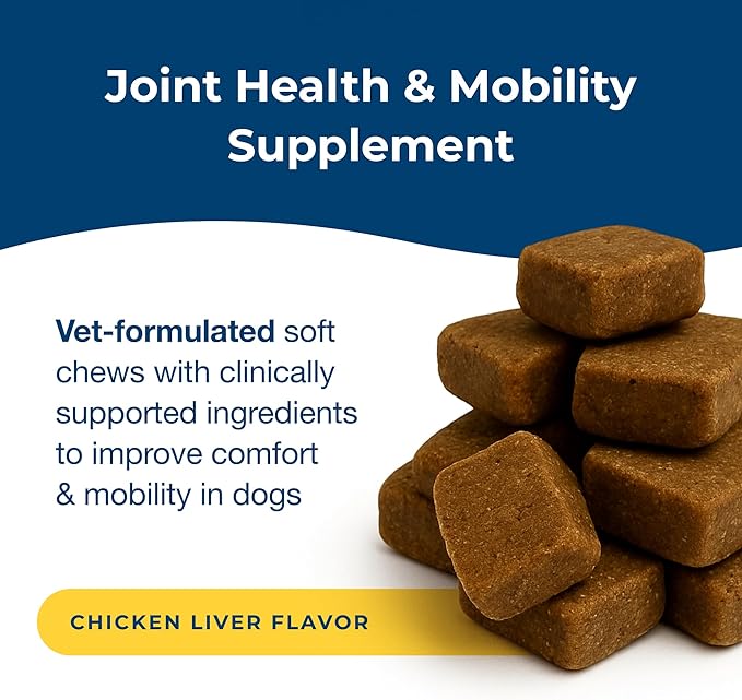 PetAg Dyne Soft Chews, Joint Health & Mobility - Vet-Formulated for Aging & Active Dogs - with UC-II® Collagen - Up to 4X More Effective Than Glucosamine/Chondroitin - 45 Chicken Liver Flavor Chews