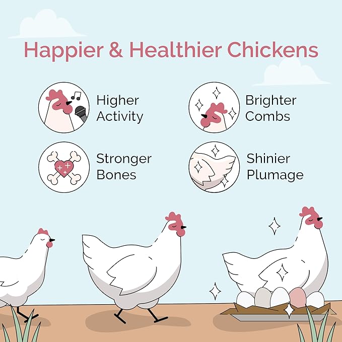 Mile Four Chick Grit (50 lbs) for Baby Chicks Chickens Age 0-8 Weeks, 100% Natural Mineral Chick Grit Quartzite, Poultry Grit Digestive Aid, USA Mined