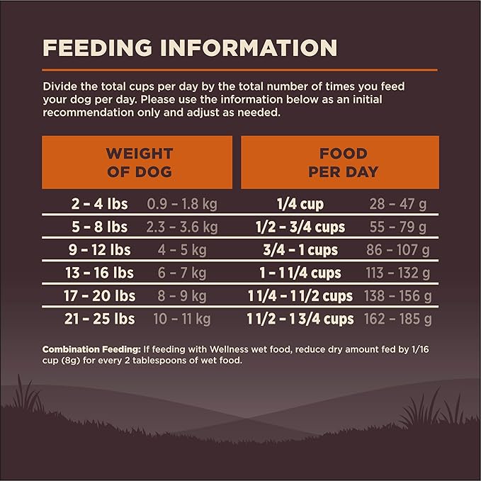Wellness CORE Small Breed Adult Dry Dog Food, Grain Free Kibble, Natural, High Protein, Turkey and Chicken Recipe, 4 lb Bag