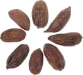 8pcs Natural Dried Fruit Bird Chewing for Parrot Budgie Parakeet Safe Foraging Accessories Healthy Chew for Pet Birds