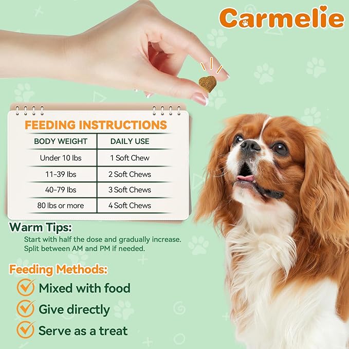 Flea and Tick Prevention for Dogs - 200 Chews Natural Dog Flea and Tick Support, Oral Flea Supplement for All Dogs, Supports Healthy Skin & Coat, Puppy Flea Protection - Chicken Flavor