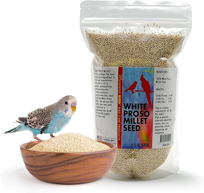 Morning Bird White Proso Millet 1.5 lbs – Natural Bird Seed – Supports Feather Growth & Balanced Nutrition – High Energy Delicious Seed - Ideal for Finches, Parakeets & Pet Birds