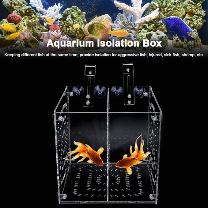 Fish Tank Breeding Box Aquarium Isolation Box Transparent Acrylic Fish Tank Incubation Box for Aggressive Injured Sick Fish Shrimp 15x15x15cm 30x15x15cm 20x20x20cm (20MC *20CM*20CM)