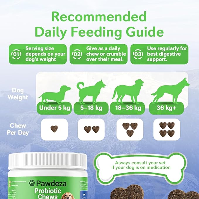 Dog Probiotics Chews – 6 Billion CFU with Prebiotics, Pumpkin, Inulin, Chicory Root & Digestive Enzymes – Supports Gut Health, Digestion, Immunity & Regularity – Natural oft Chews for Dogs
