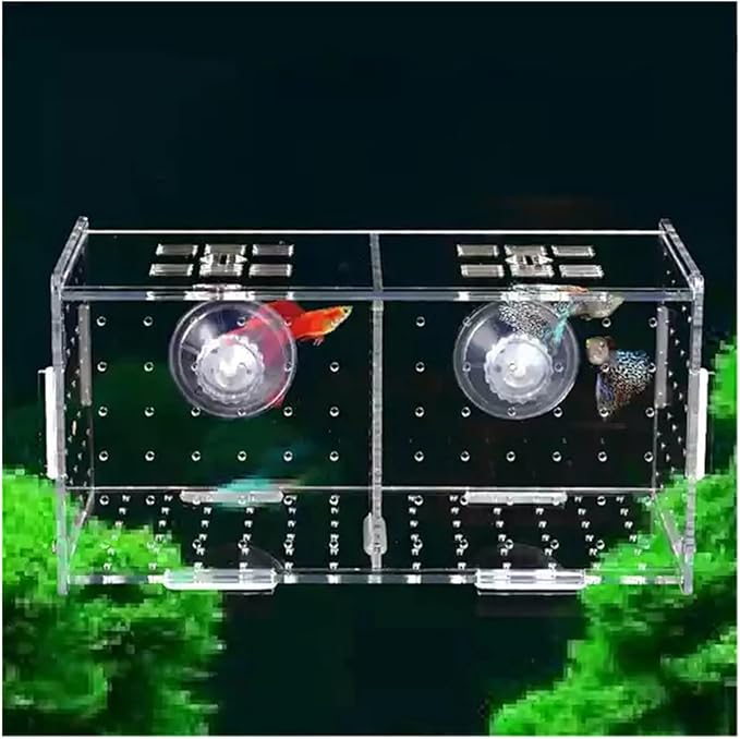 Transparent Acrylic Aquarium Isolation Box - Single & Double Grid Fry Breeding Tank for Fish Hatcheries(Sucker)