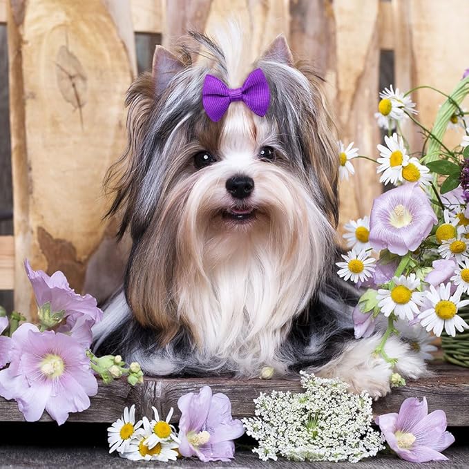 100Pcs(60 Colors) Pure Color Dog Bows with Rubber Bands Small Handmade Topknot Hair Bows for Doggie Puppy Cat Bunny Yorkie Pet Hair Grooming Accessories