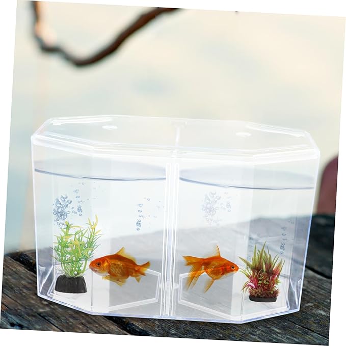 Transparent Fish Breeding Tank with Removable Divider Isolation Box for Fish Easy to Clean Hatchery Incubator for Protecting Home Aquarium