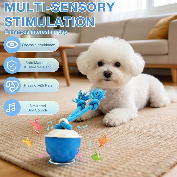 Interactive Dog Toys, 2026 Upgraded Motion Activated Automatic Rolling Ball Toys, USB Rechargeable for Small/Medium/Large Dogs Balls (Blue)
