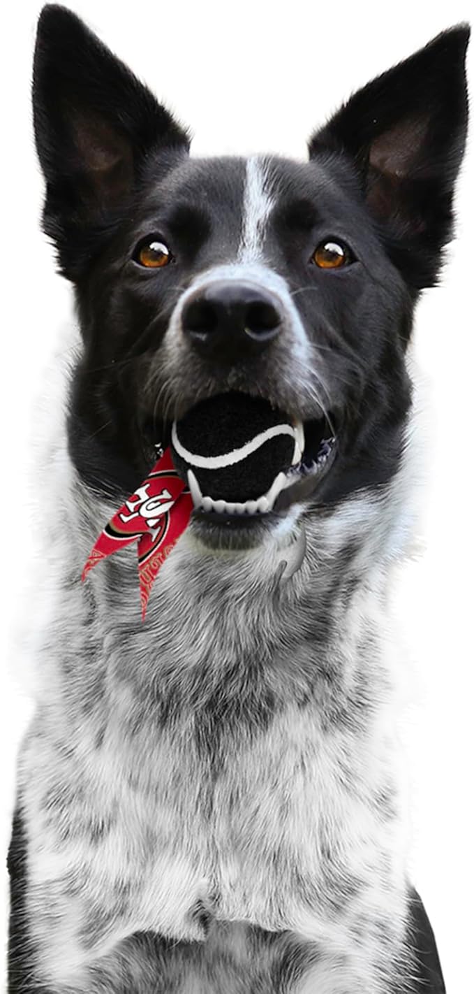 Littlearth NFL Pet Ball Launcher