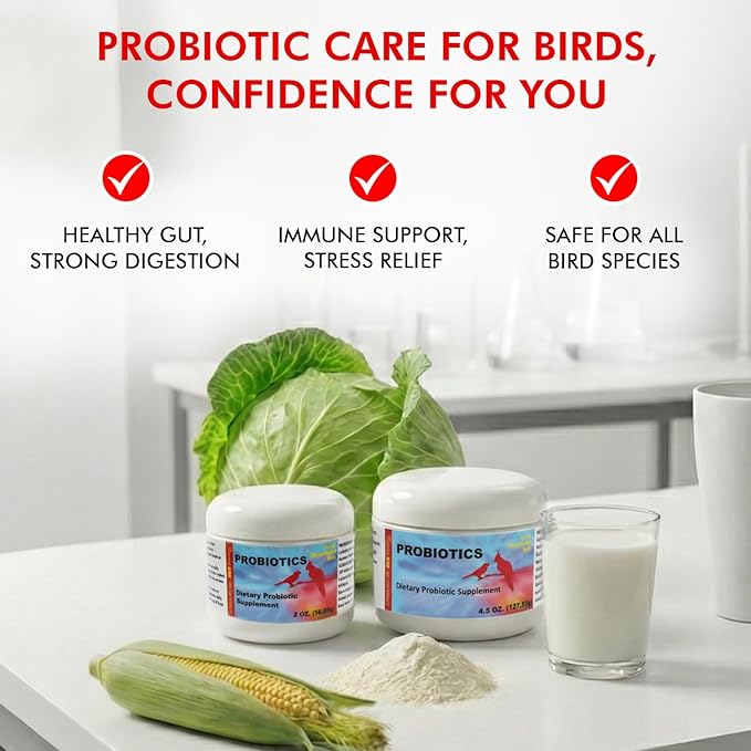 Morning Bird Probiotics for Birds 2 oz – Digestive Health Supplement Supporting Gut Balance, Nutrient Absorption, & Immune Support – Easy Mix Powder Supplement for All Bird Species