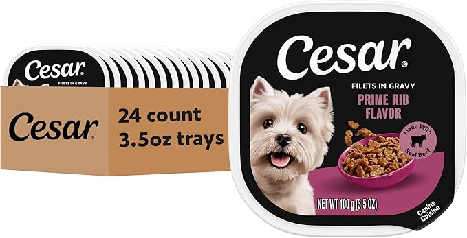 Cesar Filets in Gravy Adult Wet Dog Food Prime Rib Flavor, 3.5 oz. Easy Peel Dog Food Tray, 24 Count (Pack of 1)