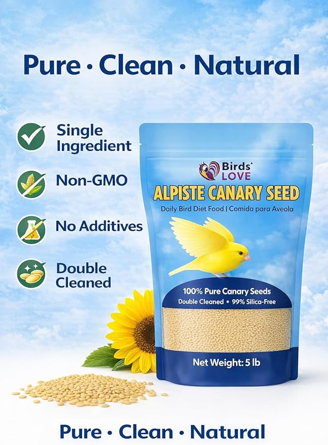 Birds Love Alpiste Canary Seed – 100% Pure, Non-GMO, Double Cleaned Food for Canaries, Finches, Budgies & Parakeets – No Additives, Bird Feed, 5 lbs