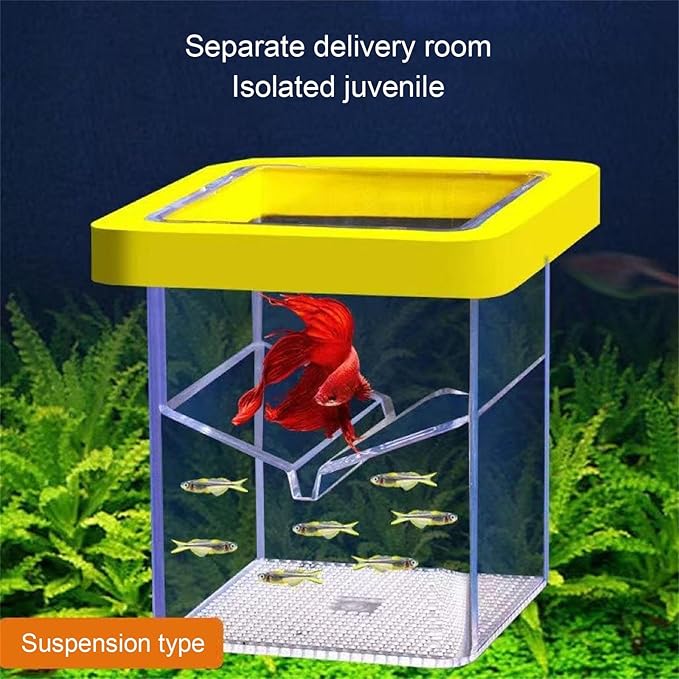 Breeding Tanks for Aquarium Isolation Box Hatchery for Clear Spawning Home Aquarium Hatchery