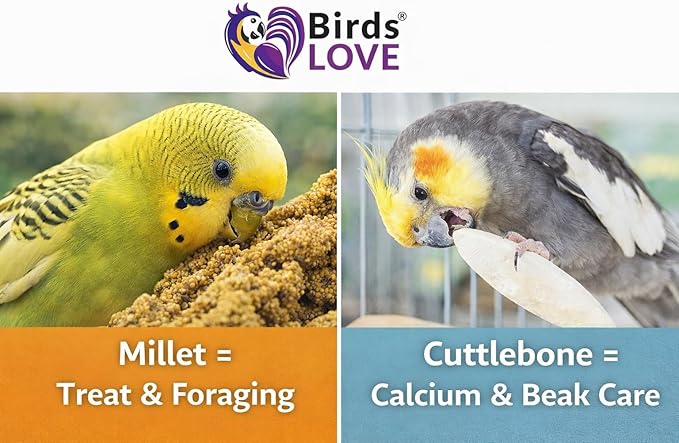 Farm to Feathers™ Bird Millet & Cuttlebone Bundle – USA Grown Millet Sprays for Parakeets, Budgies, Cockatiels, Finches & Canaries – 1 lb Tips and Tails Millet + 4” Cuttlebone (4 Pack)