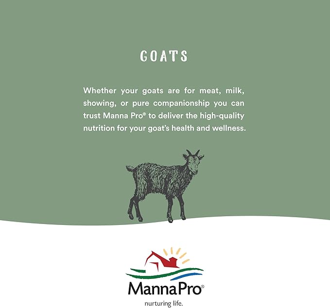 Manna Pro Chicken Feed | 16% Chicken Food with Probiotic Pellets, Layer Feed | 16 lbs (Pack of 2)