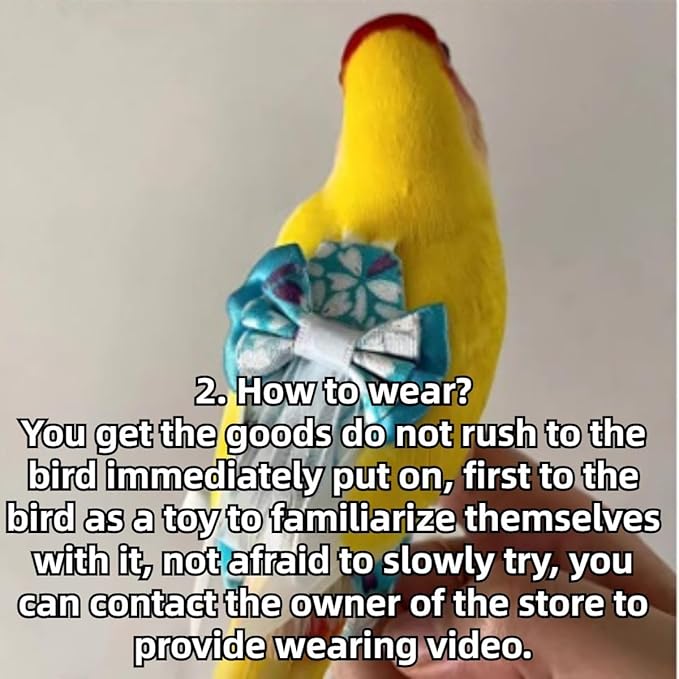 Bird Diaper Cockatiel Clothes Flight Suite, Reusable Parrot Nappy with Waterproof Inner Layer, Cute Pigeon Pants Urine Wet Suit Costume for Conure Macaw (Blue A,L)