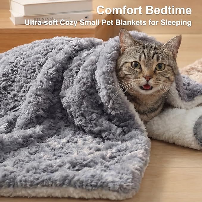 Cat Blanket for Indoor Cats Ultra-Soft Plush Small Blanket Machine Washable Cozy Calming for Kittens Cats Bed Couch Car 21"x18" Coffee
