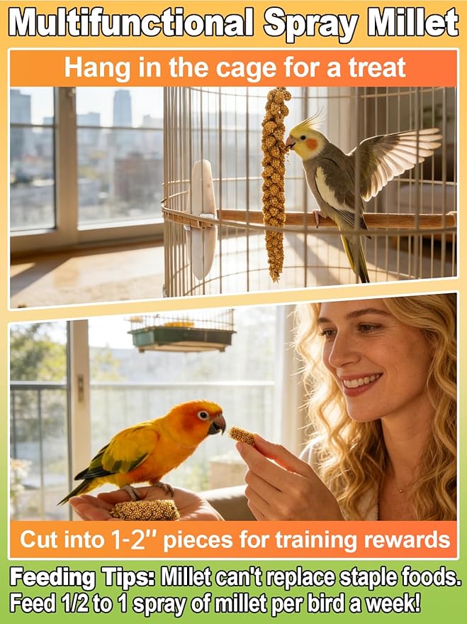 MEWTOGO Spray Millet & Cuttlebone Bird Treats Set - 1lb Hand Selected Golden Millet Treats for Parakeets Cockatiel Lovebirds Canaries Finches, Energy & Calcium Boost