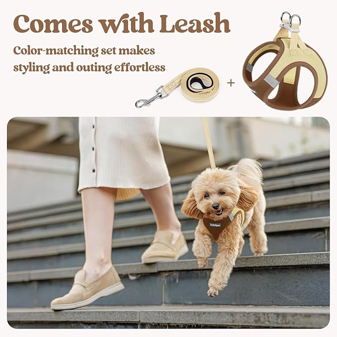 rabbitgoo Dog Harness Small Medium Sized and Leash Set, Step in Soft Light Puppy Vest, Breathable Mesh Pet Harness, Reflective for Safe Easy Walking, Brown & Beige L