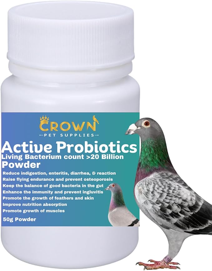 Probiotic Powder for Pigeons – 20 Billion CFU with Beneficial Bacteria – Supports Gut Health, Digestive Balance, Nutrient Absorption, Endurance & Feather Growth 50g