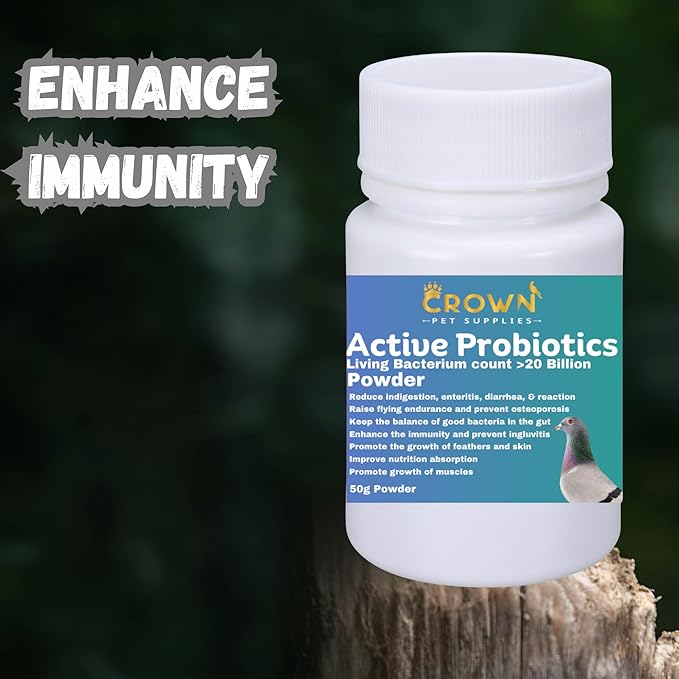 Probiotic Powder for Pigeons – 20 Billion CFU with Beneficial Bacteria – Supports Gut Health, Digestive Balance, Nutrient Absorption, Endurance & Feather Growth 50g