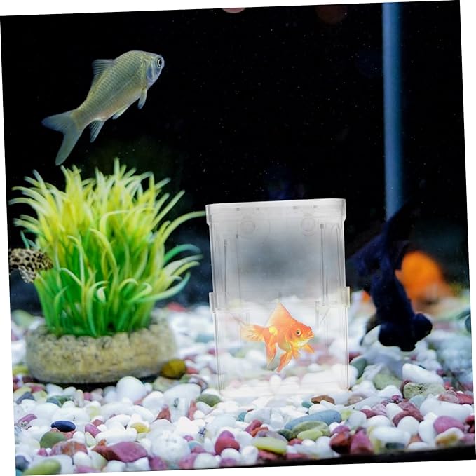 FRCOLOR 4pcs Aquarium Isolation Boxes Small Fish Breeding Hatching to Install Feeding Mouth Compact Design for Juvenile Fish and Shrimp Care