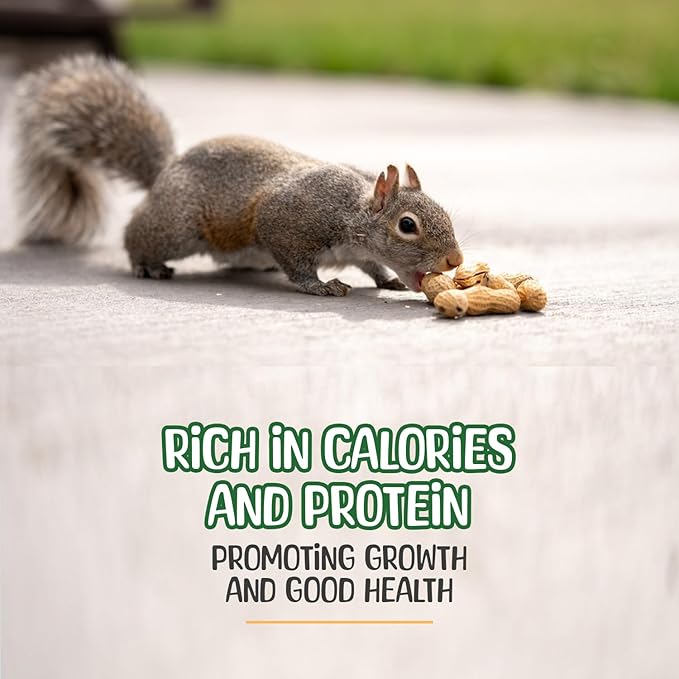 Premium Quality Raw Peanuts in Shell - 1 Pounds – All-Natural Food for Squirrels, Deer, Birds, and Other Wildlife Animals – Grown in The USA for Healthy Nutrition