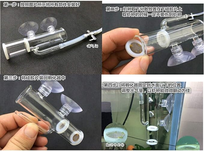 Aquarium Crystal Cherry Red Shrimp Egg Incubator Tumbler, Glass, 20mm, Shrimp Hatchery, Mouth-Brooding, Pneumatic, Egg-Rocker