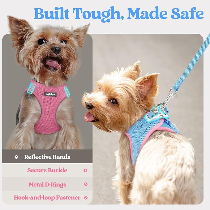 rabbitgoo Dog Harness Small Sized and Leash Set, Step in Soft Light Puppy Vest, Breathable Mesh Pet Harness, Reflective for Safe Easy Walking, Blue & Light Pink XXXS