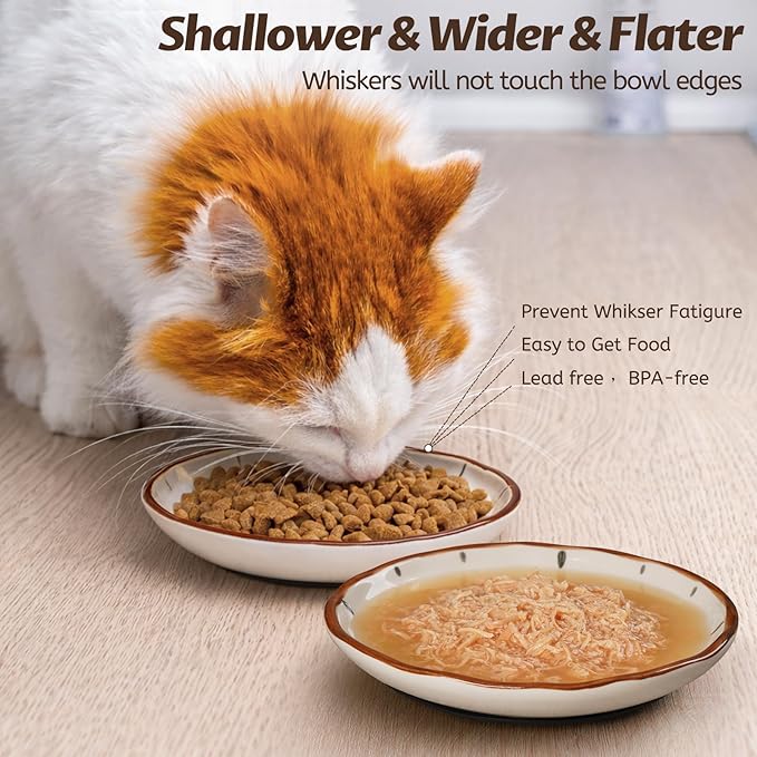 Clock Cat Food Bowl,Non-Slip Silicone Bottom Cat Bowls for Indoor Cats,Anti Whisker Fatigue Cats Dishes Set,Shallow Wide Kitten Plates for Food and Water,3 Pack