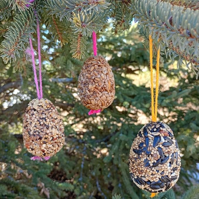 Birdseed Ornaments for Outside - Set of 3 for Wild Birds - Premium Quality - Wild Bird Treats - Egg-Shaped Hanging Birdseed Ornaments
