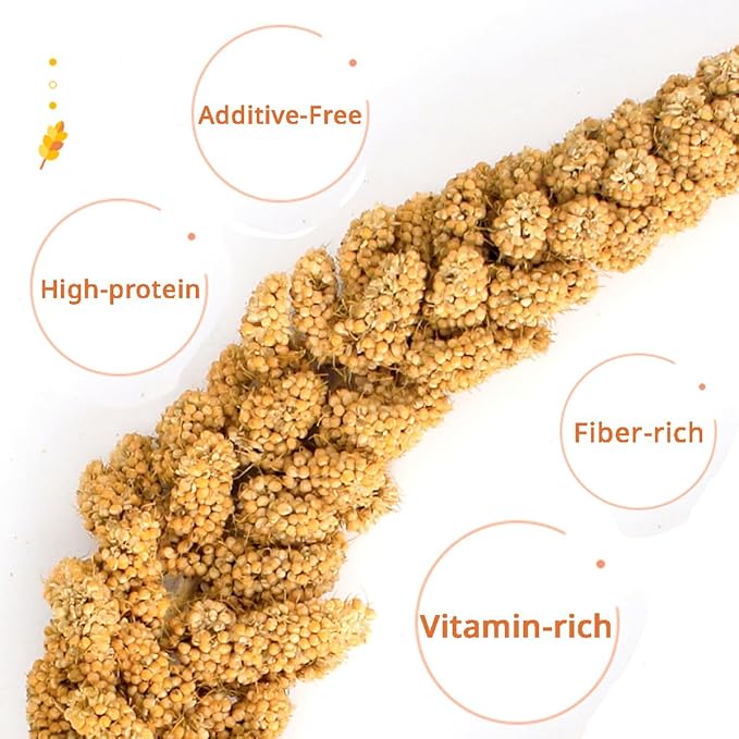 MANON ROSA Natural Spray Millet Healthy Bird Treat and Supplement for All Pet Birds Cockatiel Budgie Finches Parrots Hamster (S(5))